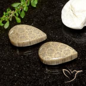 Gemme di Corallo fossile Multicolore naturale da 26.61 ct, Forma a pera, Opaco