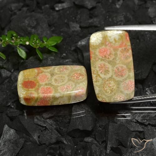 35.26ctw Naturale Multicolore Corallo fossile, Cuscino, Opaco