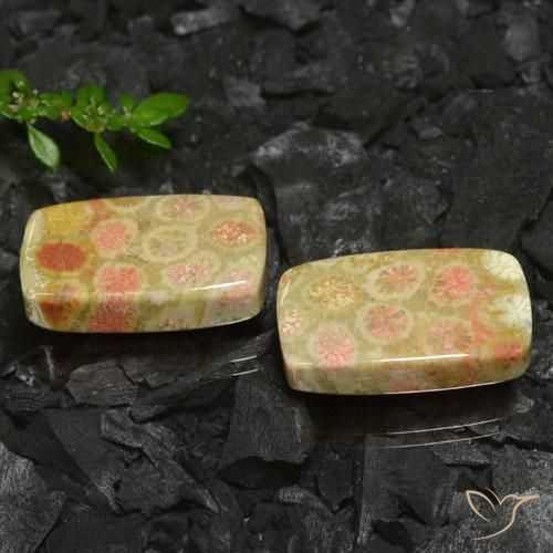 Gemme di Corallo fossile Multicolore naturale da 35.26 ct, Cuscino, Opaco
