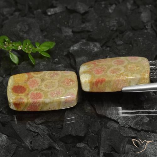 Gemme di Corallo fossile Multicolore naturale da 35.26 ct, Cuscino, Opaco