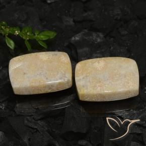 Gemme di Corallo fossile Multicolore naturale da 30.12 ct, Cuscino, Opaco