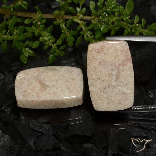 33.38ctw Naturale Multicolore Corallo fossile, Cuscino, Opaco
