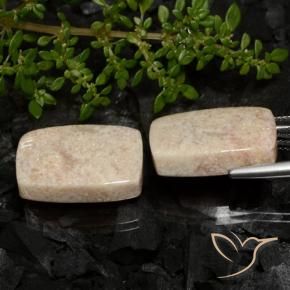 Gemme di Corallo fossile Multicolore naturale da 33.38 ct, Cuscino, Opaco