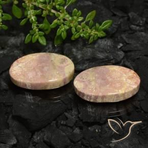 Gemme di Corallo fossile Multicolore naturale da 22.59 ct, Ovale, Opaco