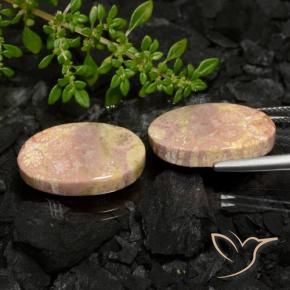 Gemme di Corallo fossile Multicolore naturale da 22.59 ct, Ovale, Opaco