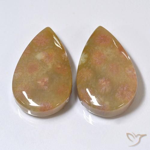 26.41ctw Naturale Multicolore Corallo fossile, Forma a pera, Opaco