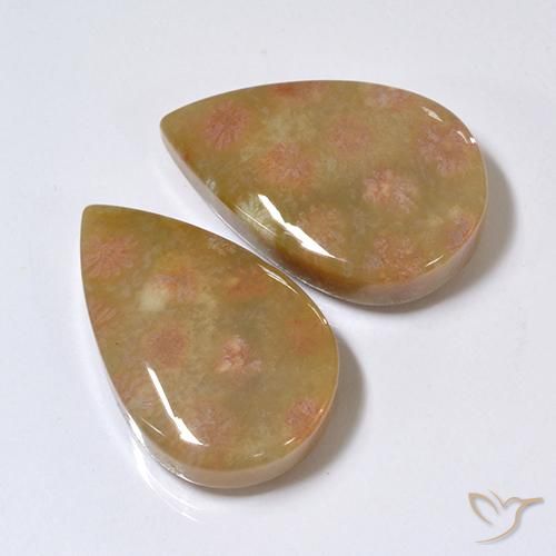 Gemme di Corallo fossile Multicolore naturale da 26.41 ct, Forma a pera, Opaco