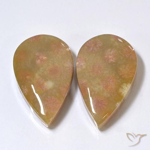 Gemme di Corallo fossile Multicolore naturale da 26.41 ct, Forma a pera, Opaco
