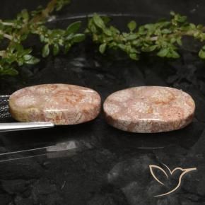 Gemme di Corallo fossile Multicolore naturale da 19.81 ct, Ovale, Opaco