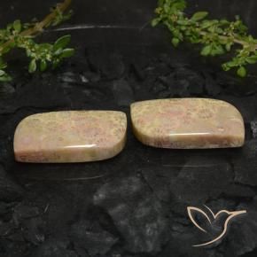 Gemme di Corallo fossile Multicolore naturale da 27.40 ct, Taglio a fantasia, Opaco