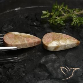 Gemme di Corallo fossile Multicolore naturale da 27.69 ct, Forma a pera, Opaco