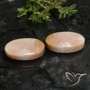 Gemme di Corallo fossile Multicolore naturale da 22.59 ct, Ovale, Opaco