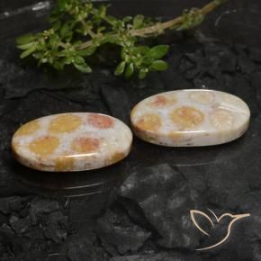 Gemme di Corallo fossile Multicolore naturale da 22.45 ct, Ovale, Opaco