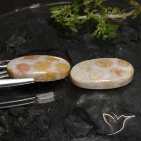 Gemme di Corallo fossile Multicolore naturale da 22.45 ct, Ovale, Opaco