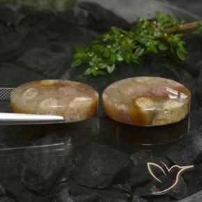 Gemme di Corallo fossile Multicolore naturale da 33.89 ct, Ovale, Opaco