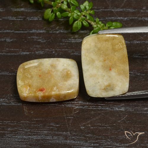 21.65ctw Naturale Multicolore Corallo fossile, Cuscino, Opaco
