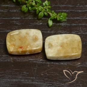 Gemme di Corallo fossile Multicolore naturale da 21.65 ct, Cuscino, Opaco