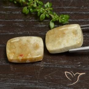 Gemme di Corallo fossile Multicolore naturale da 21.65 ct, Cuscino, Opaco