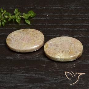 Gemme di Corallo fossile Multicolore naturale da 29.83 ct, Ovale, Opaco