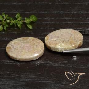 Gemme di Corallo fossile Multicolore naturale da 29.83 ct, Ovale, Opaco