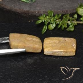 Gemme di Corallo fossile Multicolore naturale da 18.85 ct, Cuscino, Opaco