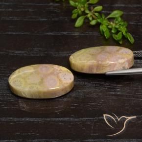 Gemme di Corallo fossile Multicolore naturale da 23.84 ct, Ovale, Opaco