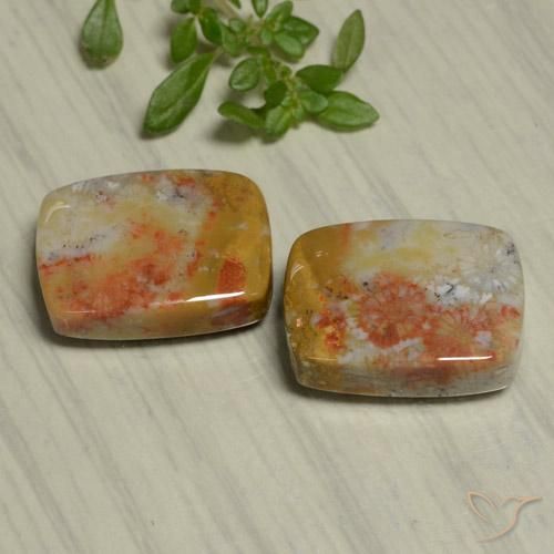 Gemme di Corallo fossile Multicolore naturale da 22.48 ct, Cuscino, Opaco