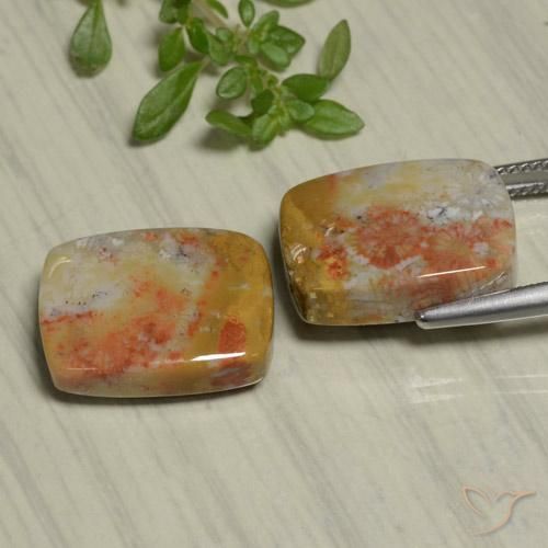 Gemme di Corallo fossile Multicolore naturale da 22.48 ct, Cuscino, Opaco