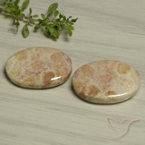Gemme di Corallo fossile Multicolore naturale da 29.97 ct, Ovale, Opaco