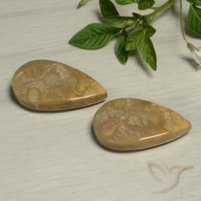 Gemme di Corallo fossile Multicolore naturale da 27.09 ct, Forma a pera, Opaco