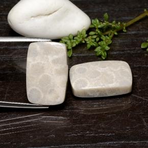 Gemme di Corallo fossile Multicolore naturale da 25.59 ct, Taglio a cuscino, Opaco