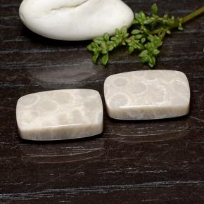 Gemme di Corallo fossile Multicolore naturale da 25.59 ct, Taglio a cuscino, Opaco