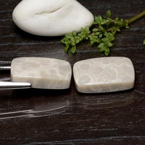 Gemme di Corallo fossile Multicolore naturale da 25.59 ct, Taglio a cuscino, Opaco