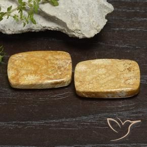Gemme di Corallo fossile Multicolore naturale da 26.68 ct, Cuscino, Opaco