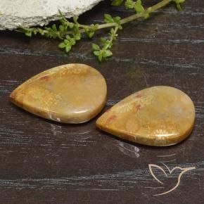 Gemme di Corallo fossile Multicolore naturale da 23.49 ct, Forma a pera, Opaco