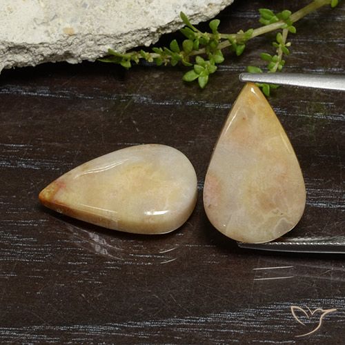 16.56ctw Naturale Multicolore Corallo fossile, Forma a pera, Opaco