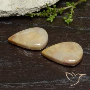 Gemme di Corallo fossile Multicolore naturale da 16.56 ct, Forma a pera, Opaco