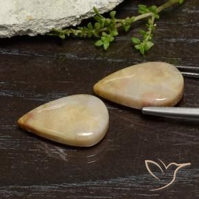 Gemme di Corallo fossile Multicolore naturale da 16.56 ct, Forma a pera, Opaco