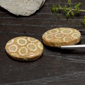 Gemme di Corallo fossile Multicolore naturale da 29.50 ct, Taglio ovale, Opaco