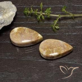 Gemme di Corallo fossile Multicolore naturale da 25.11 ct, Forma a pera, Opaco