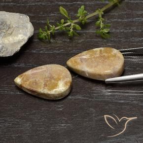 Gemme di Corallo fossile Multicolore naturale da 25.11 ct, Forma a pera, Opaco