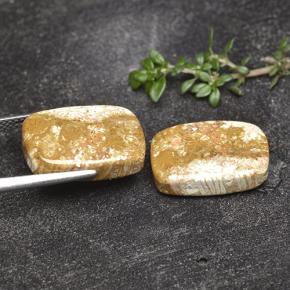 Gemme di Corallo fossile Multicolore naturale da 16.41 ct, Taglio a cuscino, Opaco