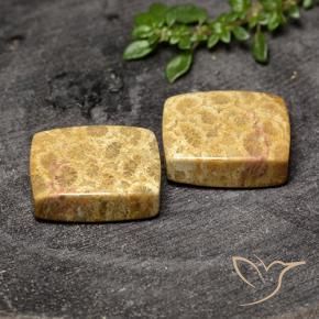 Gemme di Corallo fossile Multicolore naturale da 29.63 ct, Cuscino, Opaco