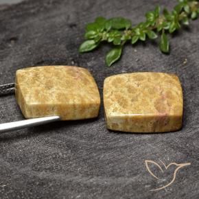 Gemme di Corallo fossile Multicolore naturale da 29.63 ct, Cuscino, Opaco