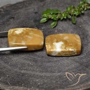 Gemme di Corallo fossile Multicolore naturale da 30.80 ct, Cuscino, Opaco
