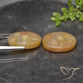 Gemme di Corallo fossile Multicolore naturale da 25.17 ct, Ovale, Traslucido