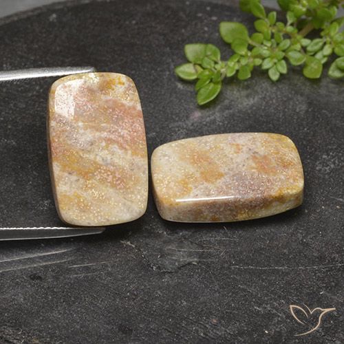 29.36ctw Naturale Multicolore Corallo fossile, Cuscino, Opaco