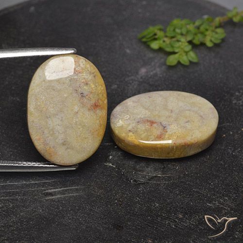 26.36ctw Naturale Multicolore Corallo fossile, Ovale, Opaco