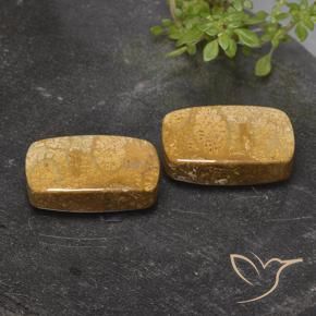 Gemme di Corallo fossile Multicolore naturale da 32.26 ct, Cuscino, Opaco