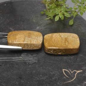 Gemme di Corallo fossile Multicolore naturale da 32.26 ct, Cuscino, Opaco